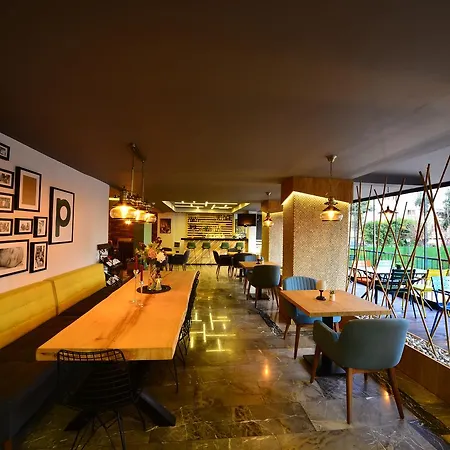 & 公寓式酒店