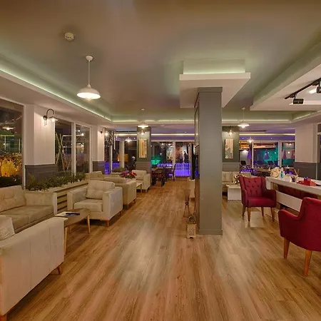 公寓式酒店 &